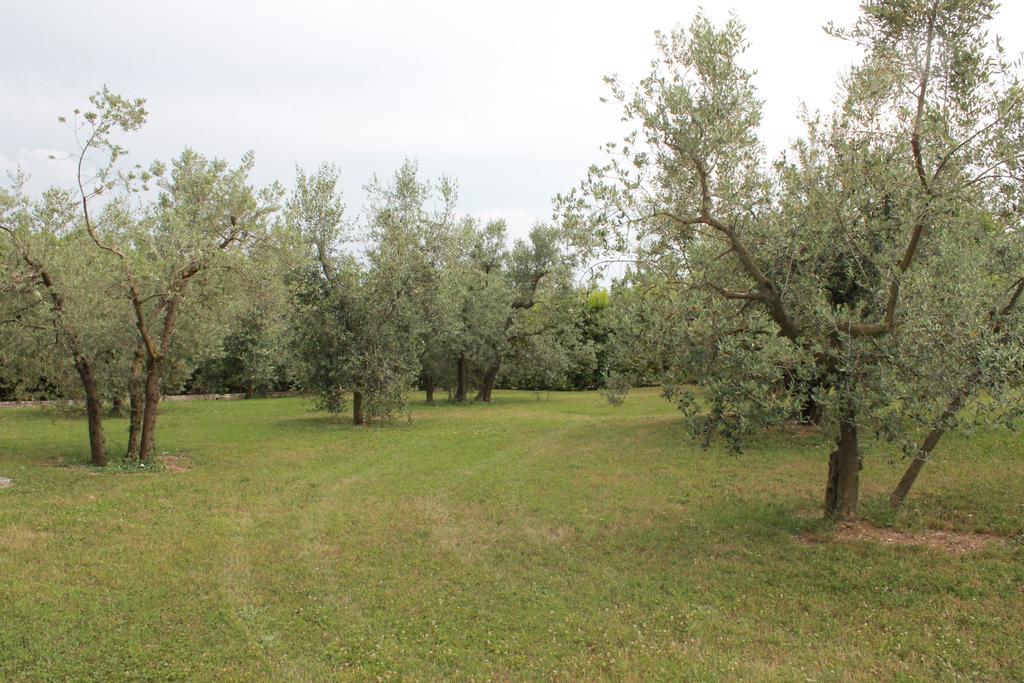 Agriturismo Piano Grande Avigliano Umbro Chambre photo